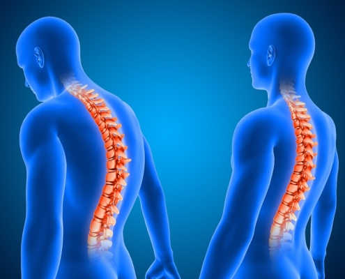 Spinal male illustration