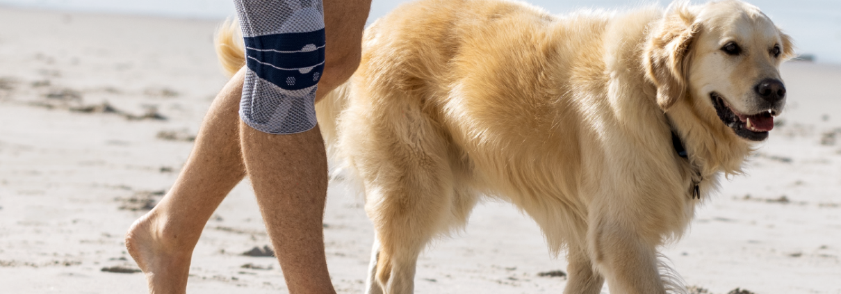 Knee body Physio product and dog