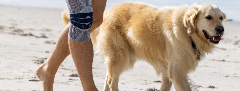 A person wearing a grey and blue medical-grade compression knee brace walks barefoot on a sandy beach next to a golden retriever dog.
